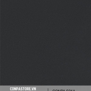 CONPA S21A
