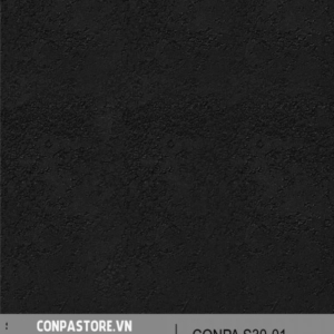 CONPA S30 01