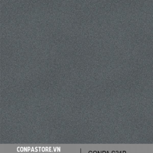 CONPA S31B