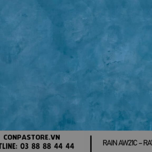 RAIN AW21C RAW21C