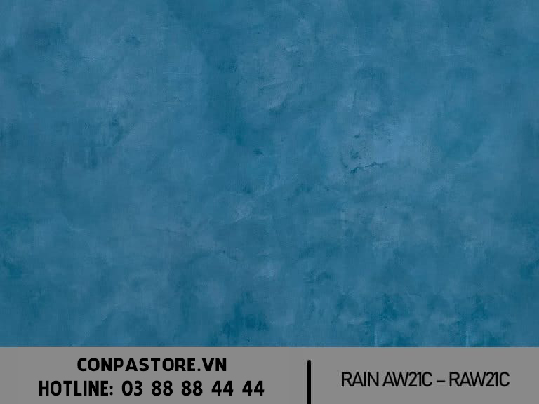 RAIN AW21C RAW21C