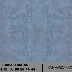 RAIN AW22C RAW22C