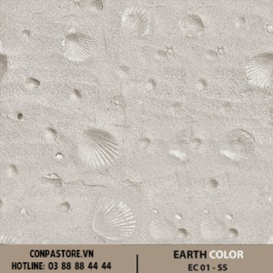 EARTH COLOR – EC 01-SS