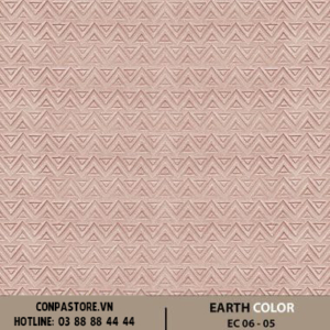 EARTH COLOR – EC 06-05