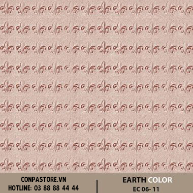 EARTH COLOR – EC 06-11