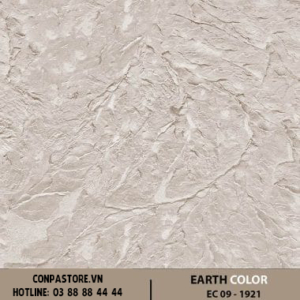 EARTH COLOR – EC 09- 1921