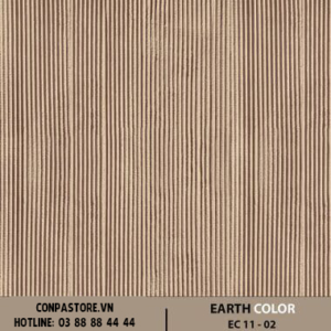 EARTH COLOR – EC 11-02