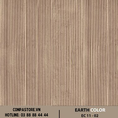EARTH COLOR – EC 11-02