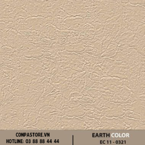 EARTH COLOR – EC 11-0321