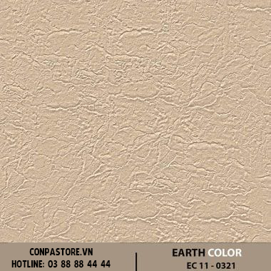 EARTH COLOR – EC 11-0321