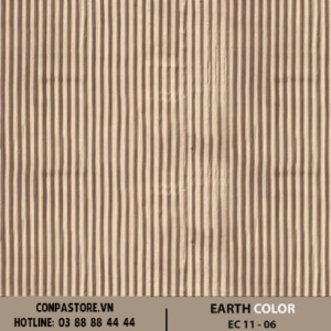 EARTH COLOR – EC 11-06