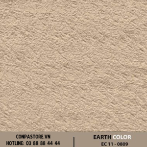 EARTH COLOR – EC 11-0809 CHÉO
