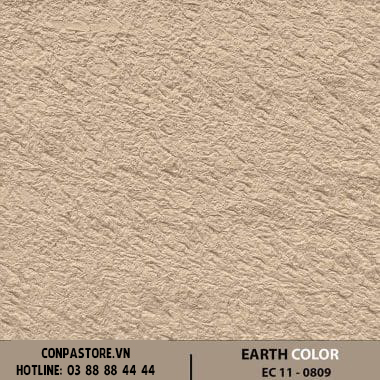 EARTH COLOR – EC 11-0809 CHÉO