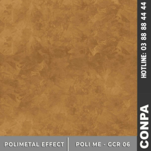 POLI ME-GCR 06